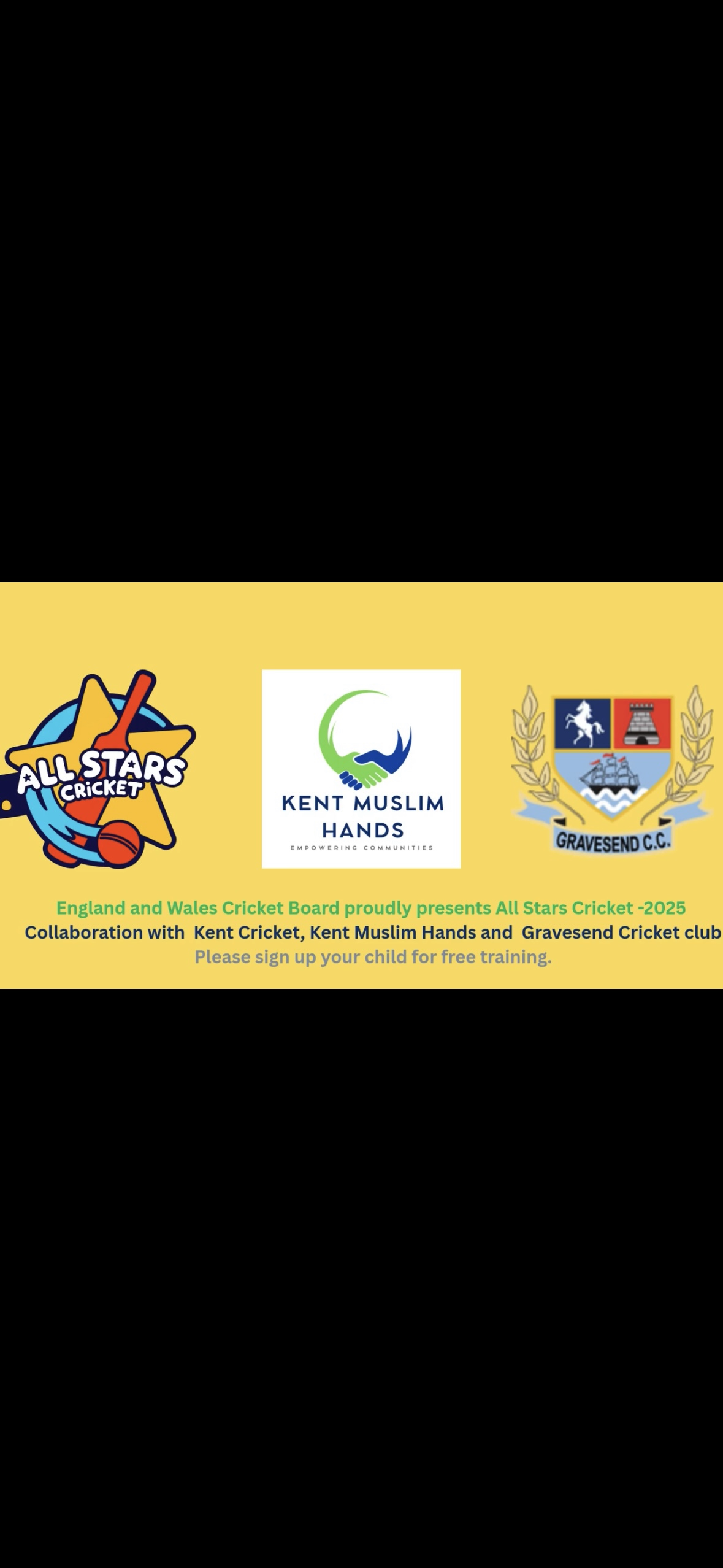 All Stars Cricket